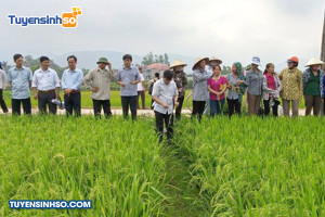 Ngành Khuyến nông