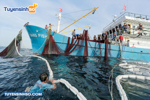 Ngành Quản lý thủy sản